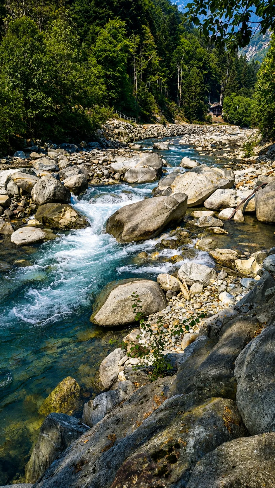 Csa sul fiume